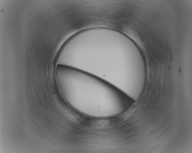 X0000075860156200610061946