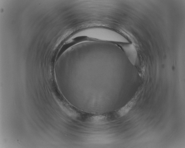 X0000075860158200610061946