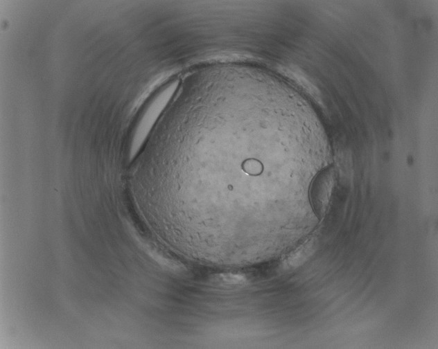 X0000075860159200610061946