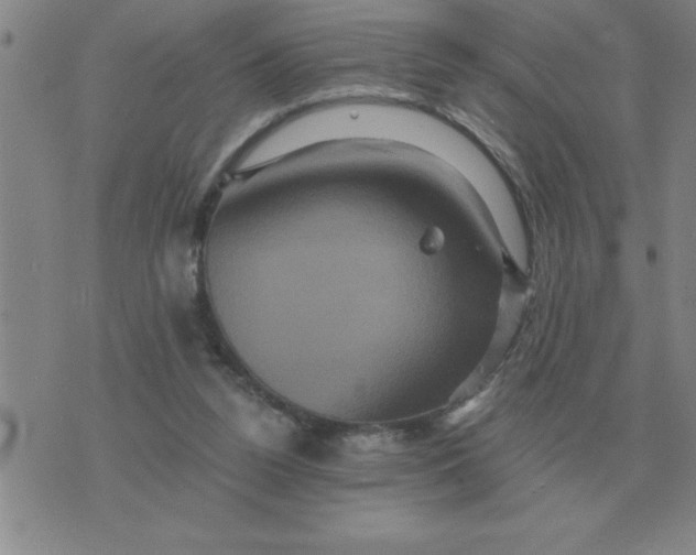 X0000075860160200610061946