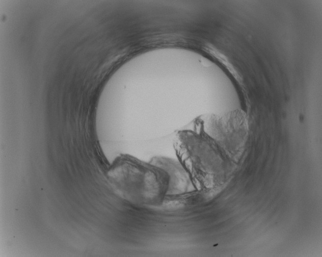 X0000075860161200610061946