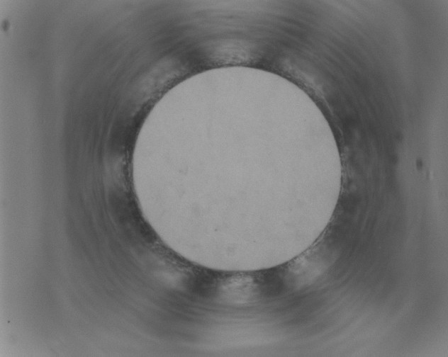 X0000075860162200610061946