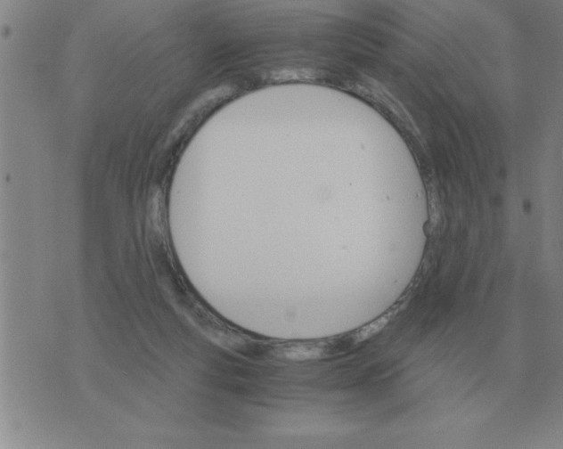 X0000075860163200610061946