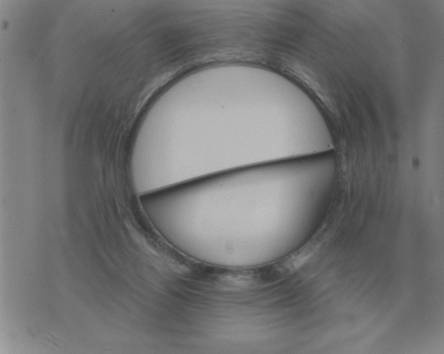 X0000075860164200610061946