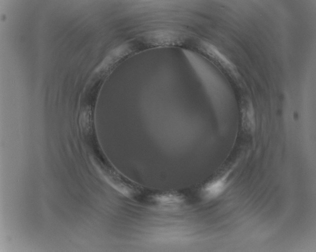 X0000075860165200610061946