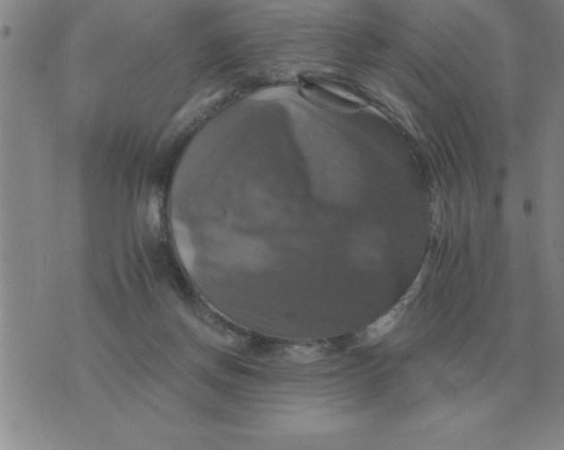 X0000075860166200610061946