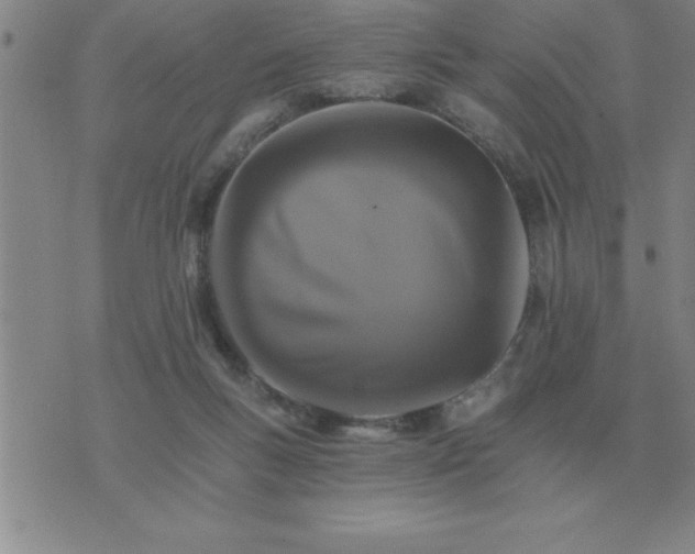 X0000075860167200610061946