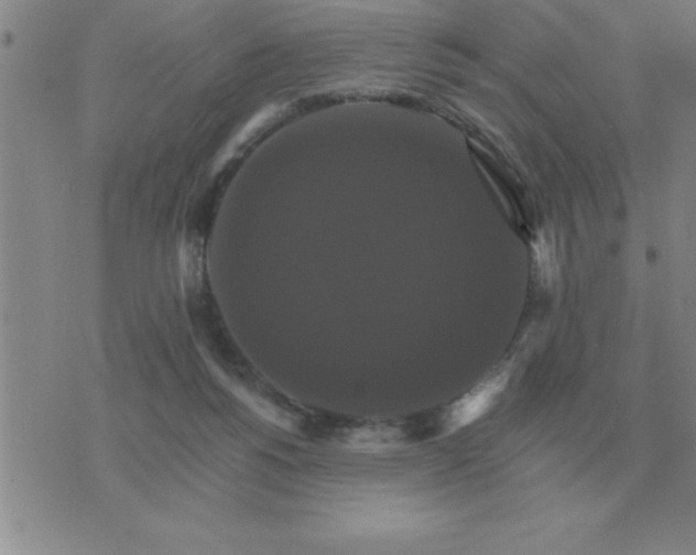 X0000075860168200610061946