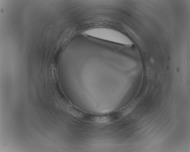 X0000075860169200610061946