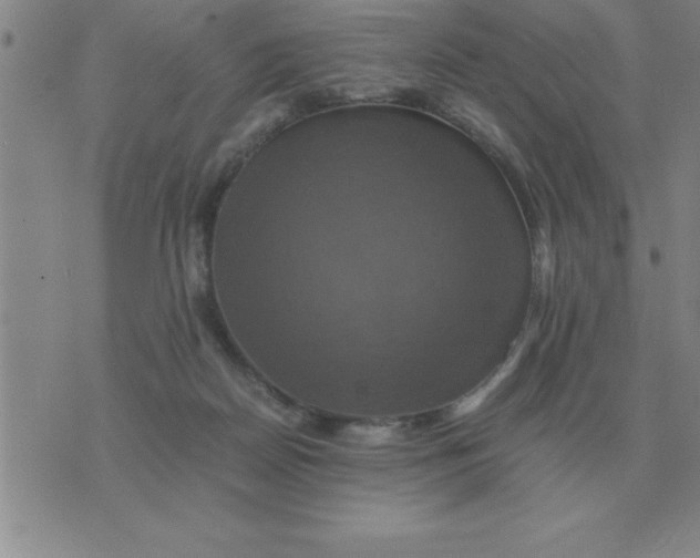 X0000075860170200610061946