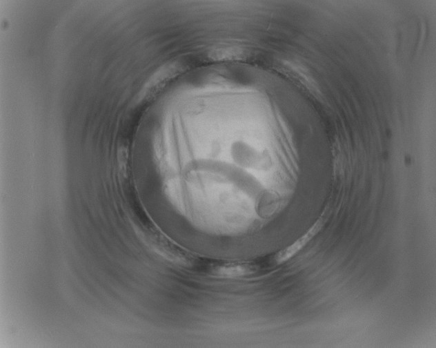 X0000075860171200610061946