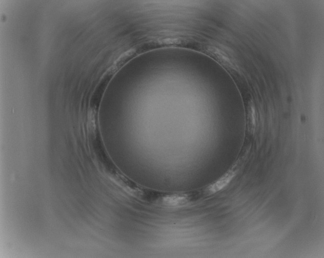 X0000075860172200610061946