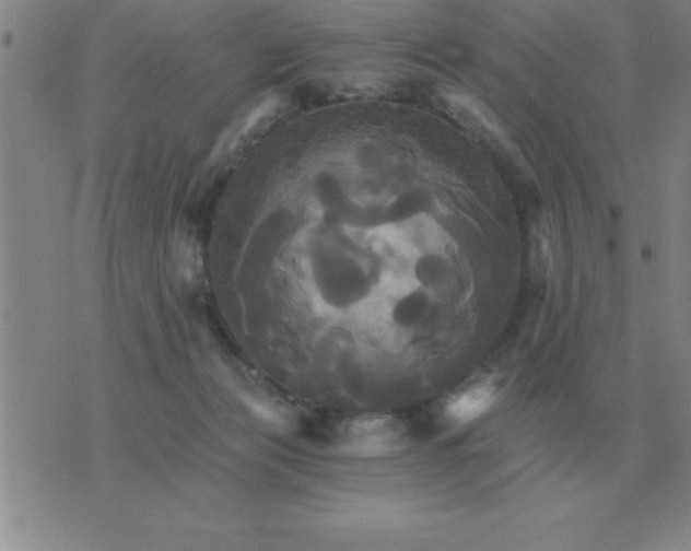 X0000075860173200610061946