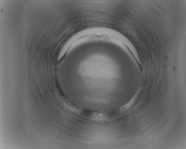 X0000075860174200610061946