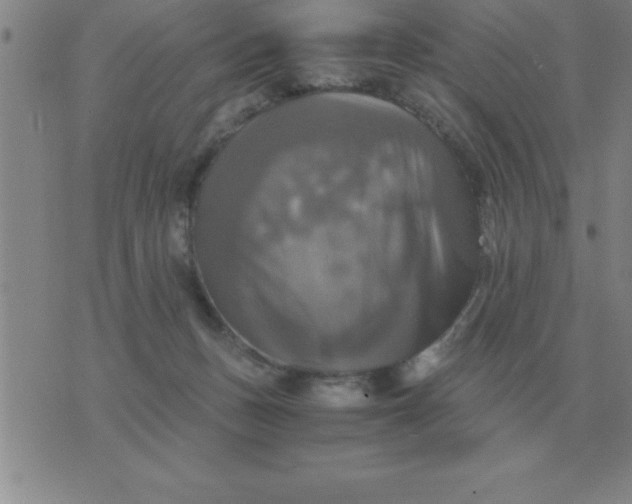 X0000075860175200610061946