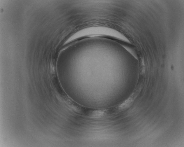 X0000075860176200610061946