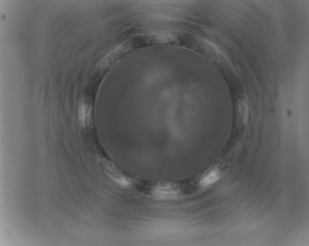 X0000075860177200610061946