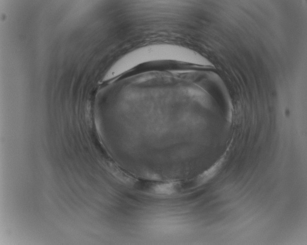 X0000075860178200610061946