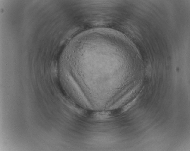 X0000075860179200610061946