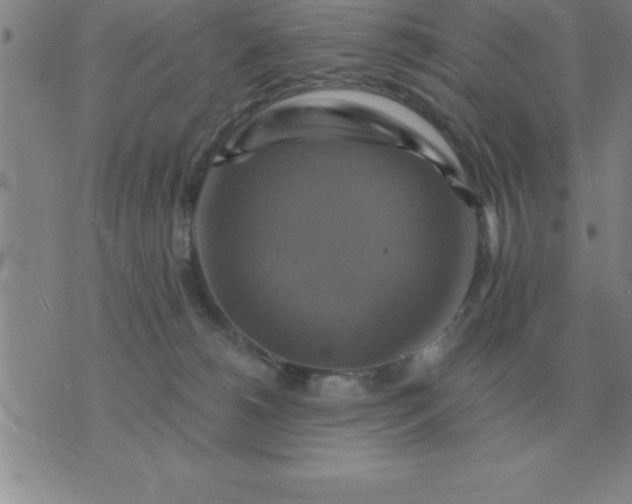 X0000075860180200610061946