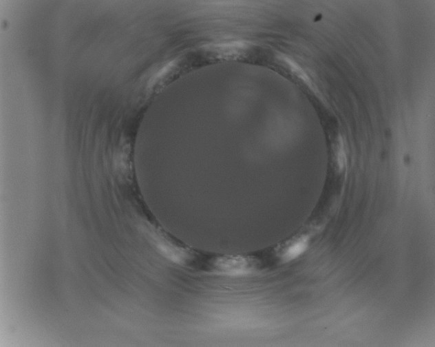 X0000075860181200610061946