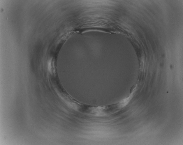 X0000075860182200610061946