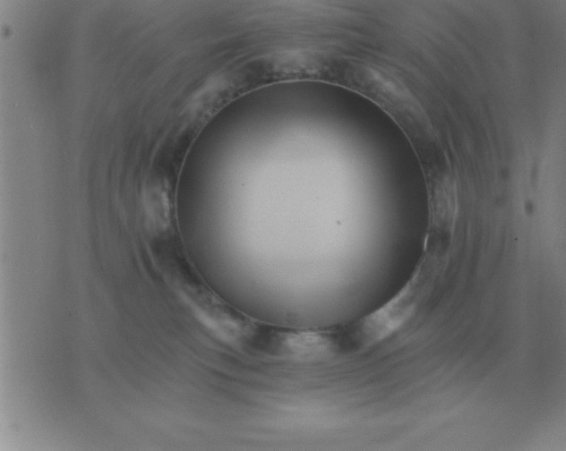 X0000075860183200610061946