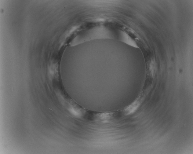 X0000075860184200610061946