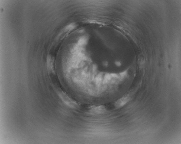 X0000075860185200610061946