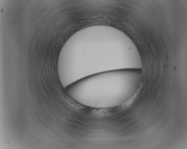 X0000075860186200610061946