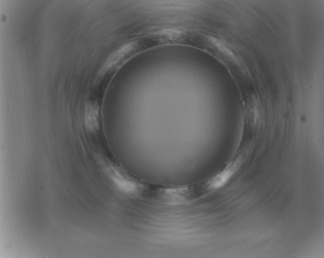 X0000075860188200610061946