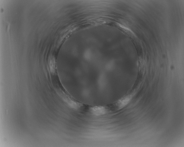 X0000075860189200610061946