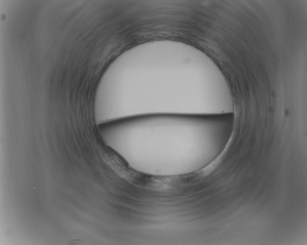 X0000075860190200610061946