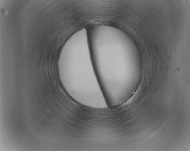 X0000075860192200610061946