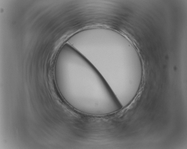 X0000075860193200610061945