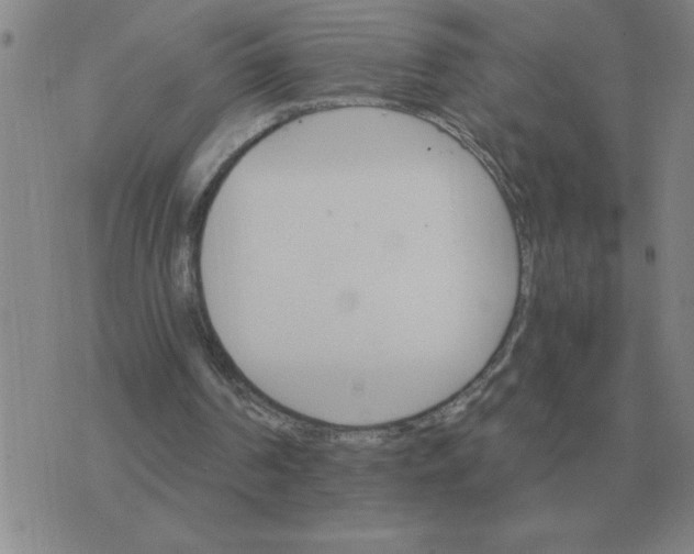 X0000075860194200610061945