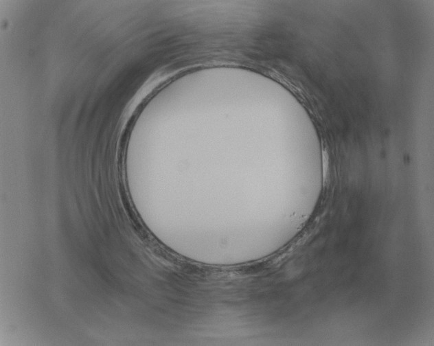 X0000075860195200610061945