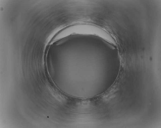 X0000075860196200610061945