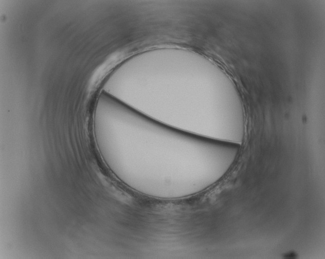 X0000075860197200610061945