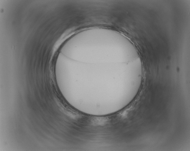 X0000075860198200610061945