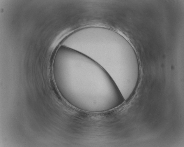 X0000075860199200610061945