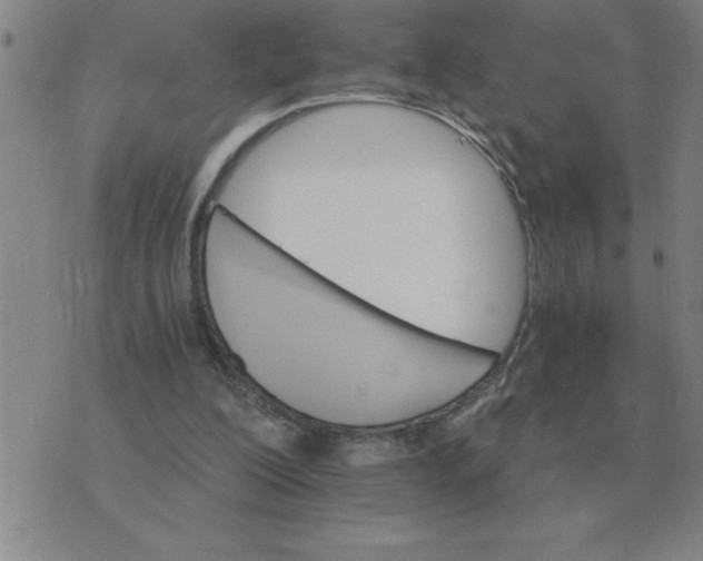 X0000075860200200610061945