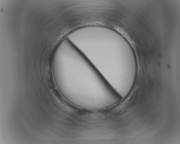 X0000075860201200610061945