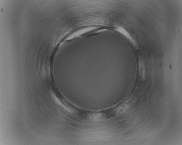 X0000075860202200610061945