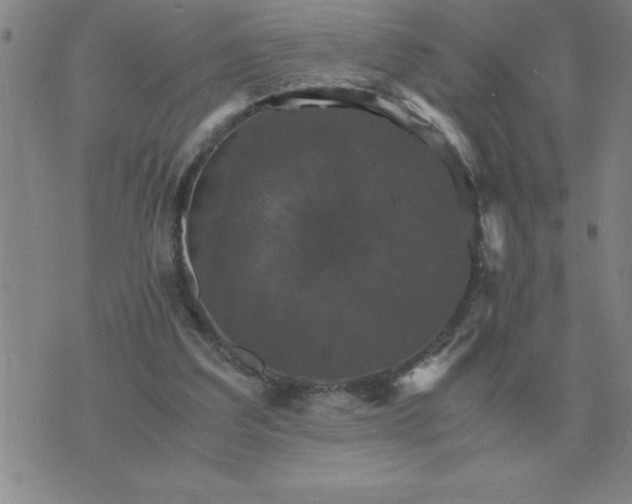 X0000075860203200610061945