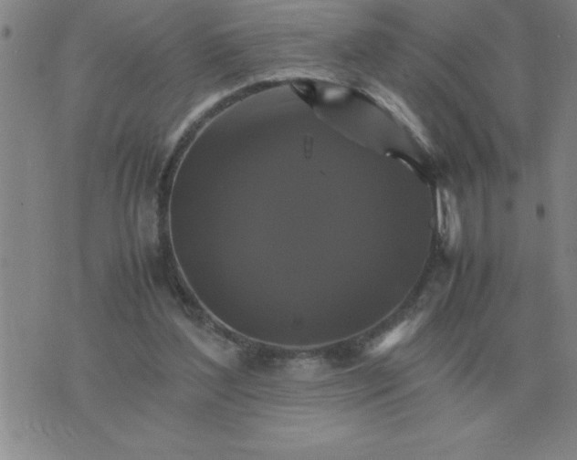 X0000075860204200610061945