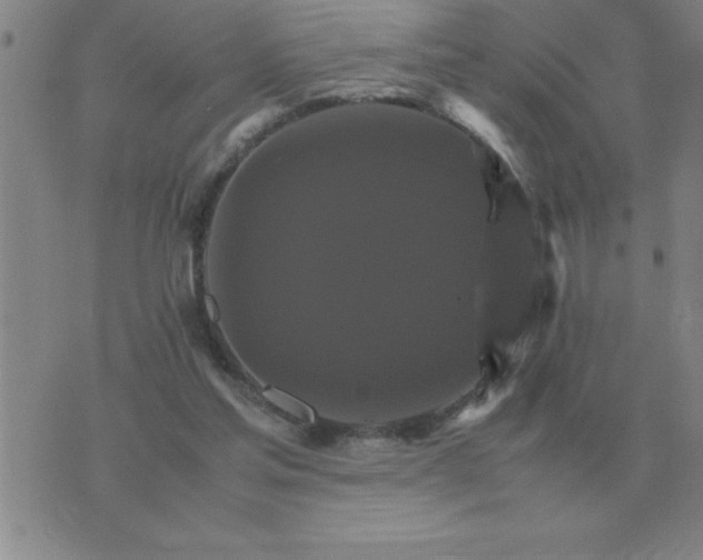 X0000075860205200610061945