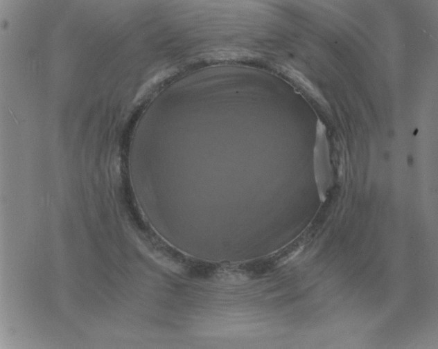 X0000075860207200610061945