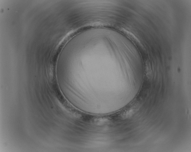 X0000075860208200610061945