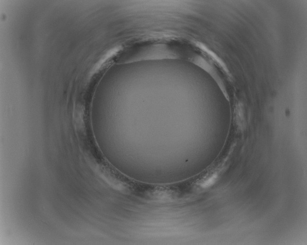 X0000075860209200610061945